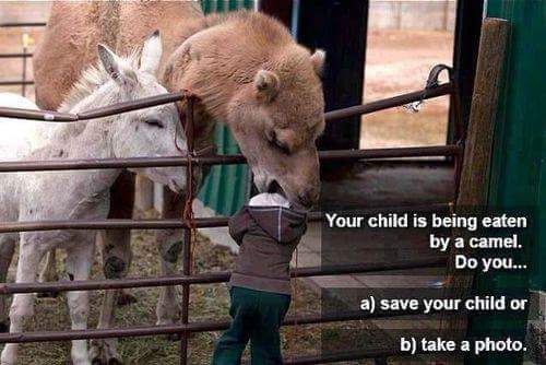 11181727_10153774557671224_6231234879751710248_n