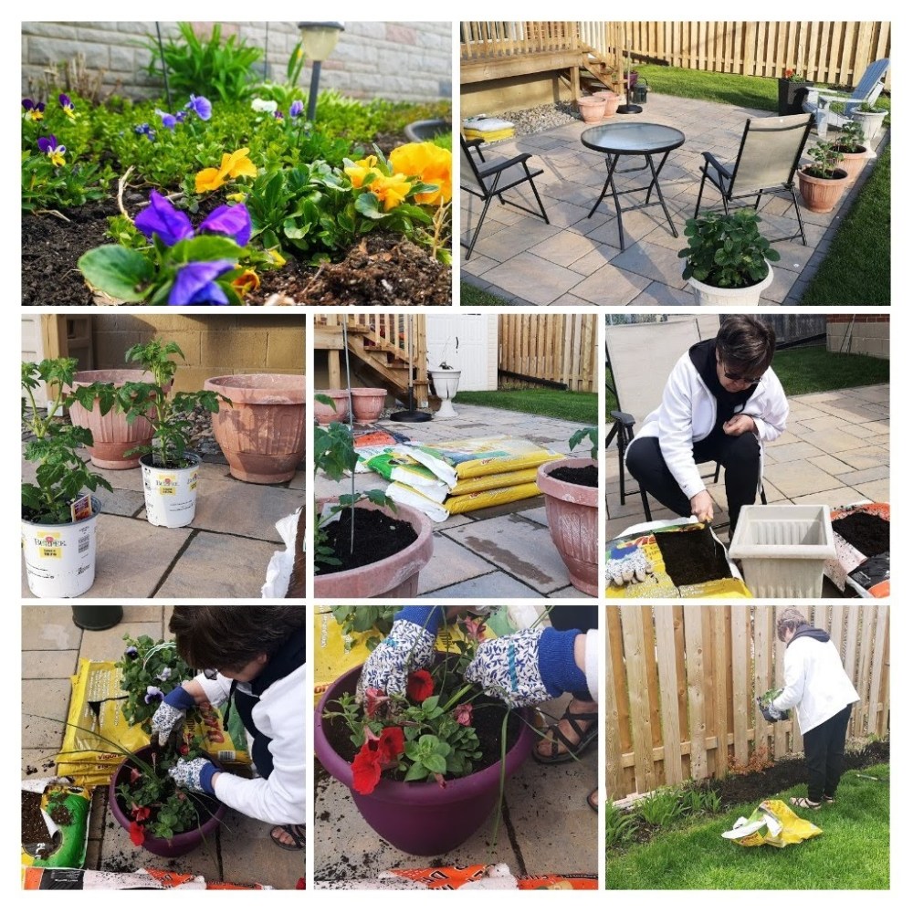 20200517_181142-collage